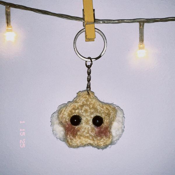 ميدالية نجمة