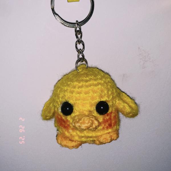 ميدالية بطة