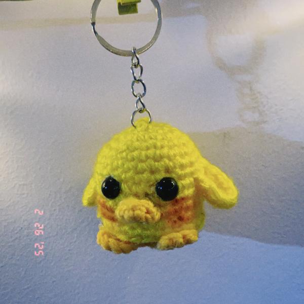 ميدالية بطة